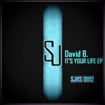 It's Your Life EP by David B