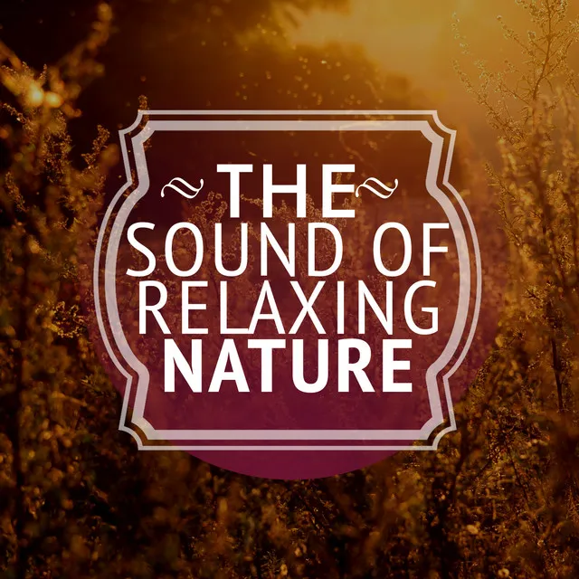 The Sound of Relaxing Nature