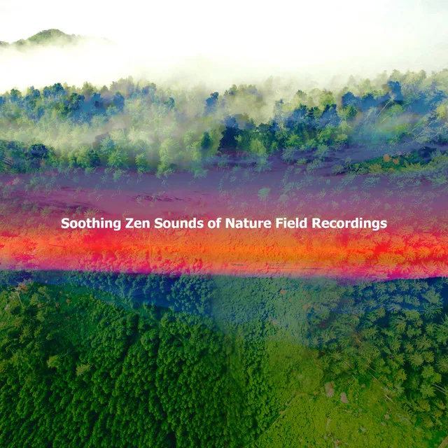 Soothing Zen Sounds of Nature Field Recordings