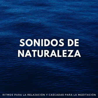 Sonidos De Naturaleza: Ritmos Para La Relajación Y Cascadas Para La Meditación by Vishuda Cuencos Tibetanos