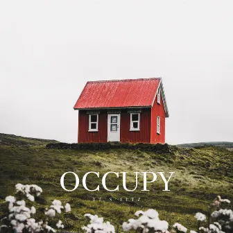 Occupy by It's Fitz