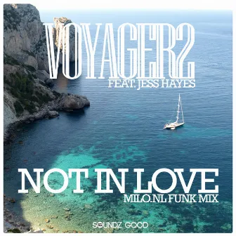 Not In Love (Milo.nl Funk Mix) by Voyager2