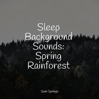 Sleep Background Sounds: Spring Rainforest by Winds and Oceans