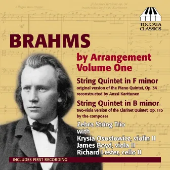 Brahms by Arrangement, Vol. 1 by Zebra Trio