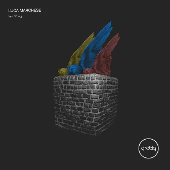 Say Strong by Luca Marchese