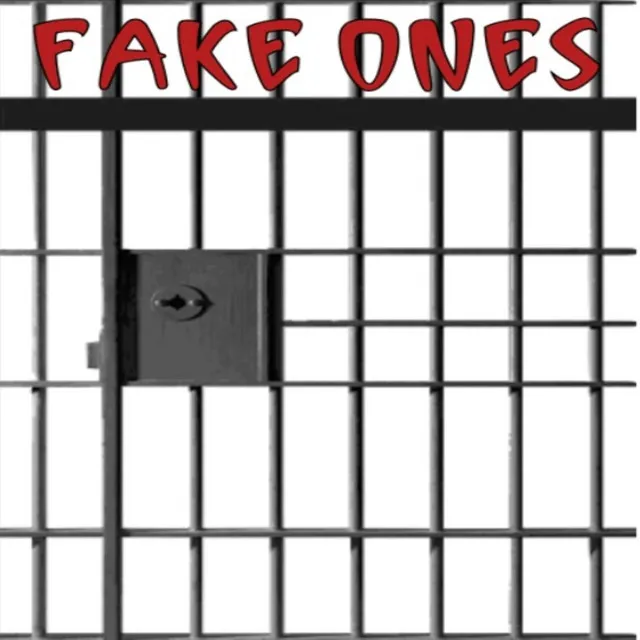 FAKE ONES