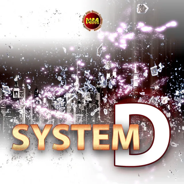 System D