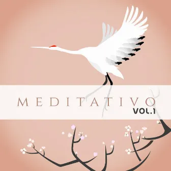 Meditativo, Vol. 1 by Tommaso Caputo