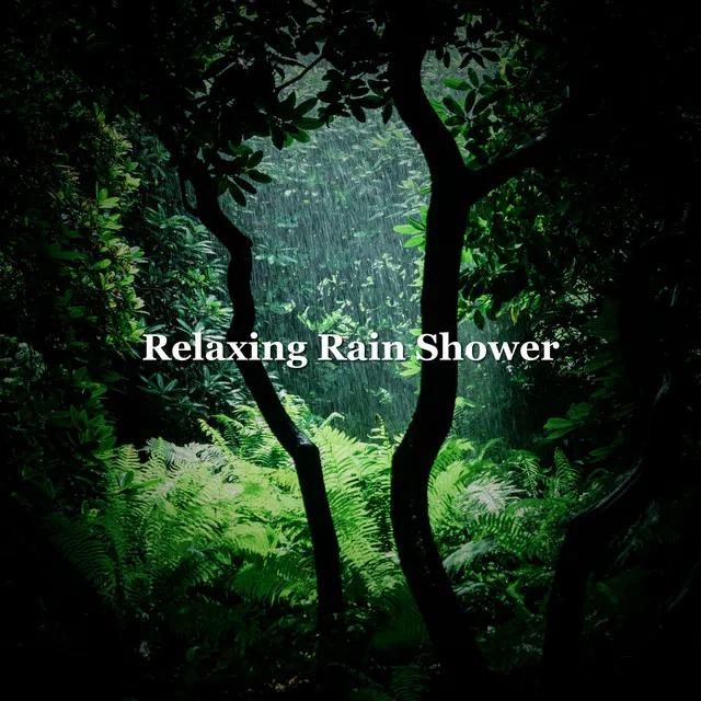 Relaxing Rain Shower