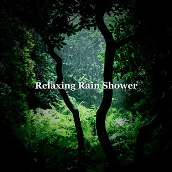 Relaxing Rain Shower by Natural Rain