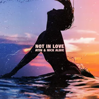 Not In Love by Nick Albie