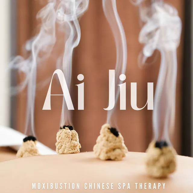 Ai Jiu: Moxibustion Chinese Spa Therapy