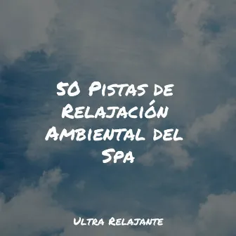 50 Pistas de Relajación Ambiental del Spa by Canciones De Cuna Para Dormir Bebes