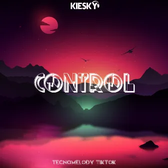 Control [Tecnomelody Tiktok] by Kiesky