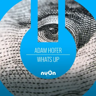 What's Up by Adam Hofer