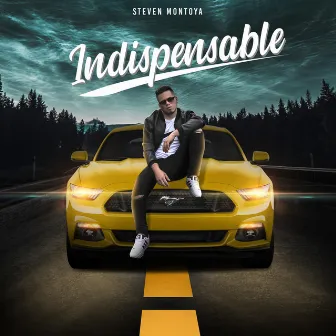 Indispensable by Steven Montoya