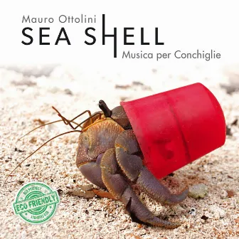 Sea Shell Musica per conchiglie by Mauro Ottolini