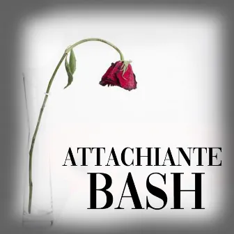 Attachiante by Bash