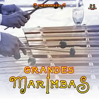 Cumbiambera by Grandes Marimbas