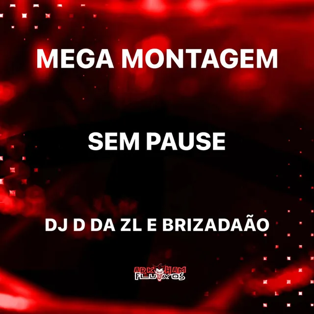 MEGA MONTAGEM SEM PAUSE (DJ D DA ZL & DJ BRIZADÃO Remix)