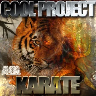 Karate by Cool Project