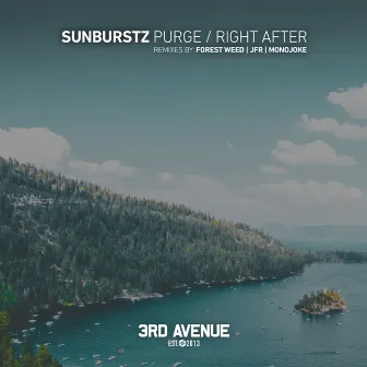 Purge / Right After by Sunburstz