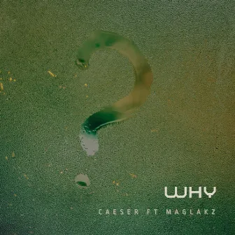 Why by Caeser