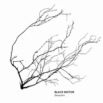 Branches by Black Motor