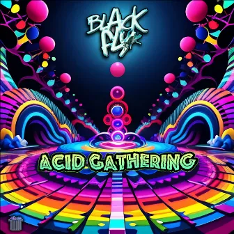 Acid Gathering by Black Fly