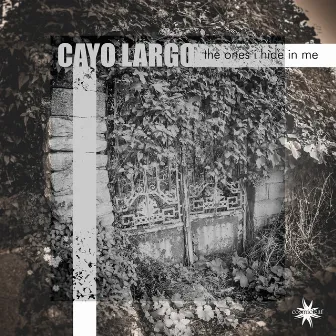 The Ones I Hide in Me by Cayo Largo