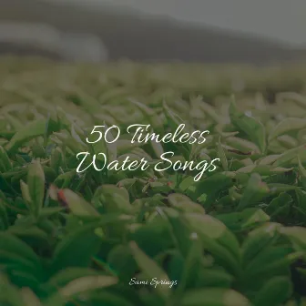 50 Timeless Water Songs by PowerThoughts Meditation Club