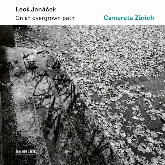 Janáček: On An Overgrown Path (Po zarostlém chodnicku), JW 8/17 - Arr. Rumler for String Orchestra / Book I: 7. Good Night! by 