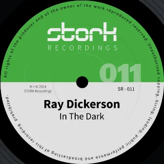 In The Dark by Ray Dickerson