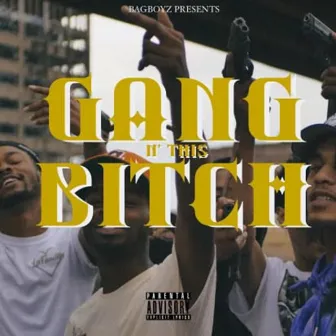 Gang N this Bitch by Jay Maserati