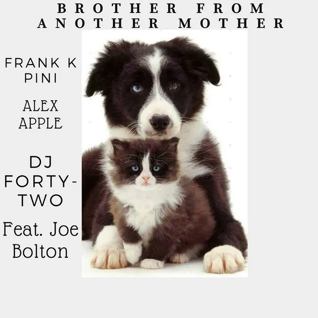 Brother From Another Mother - Radio Edit