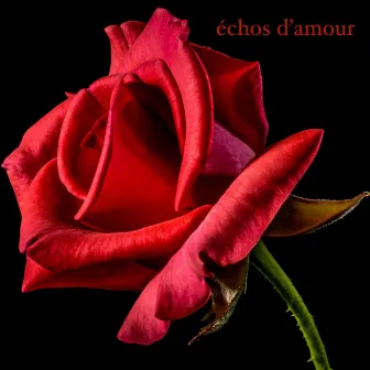 Échos d'Amour by Frank Gulino