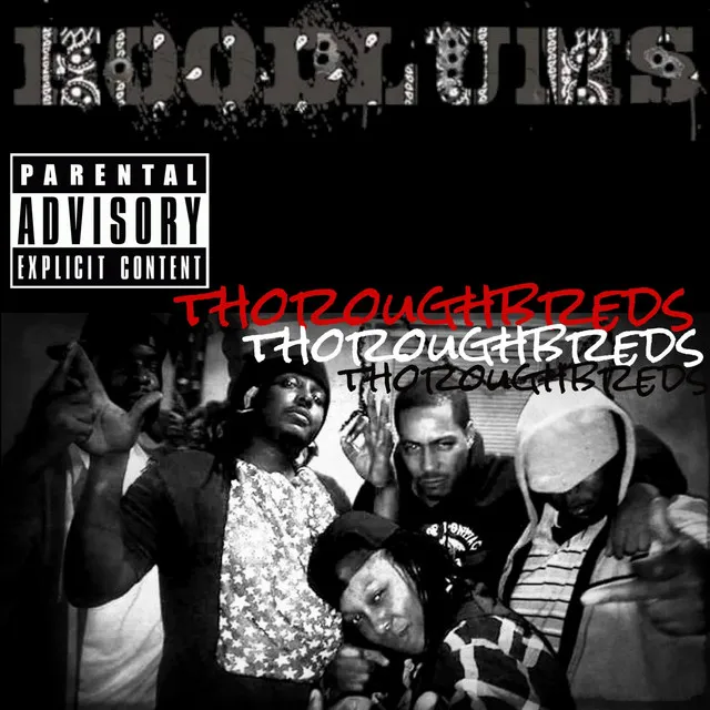 Thoroughbreds