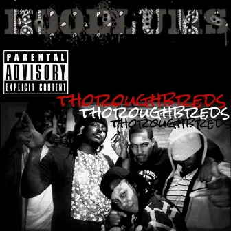 Thoroughbreds by Hoodlums