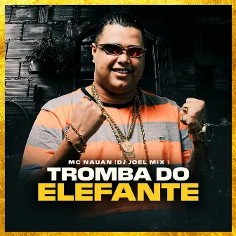 Tromba do Elefante by DJ JOEL MIX