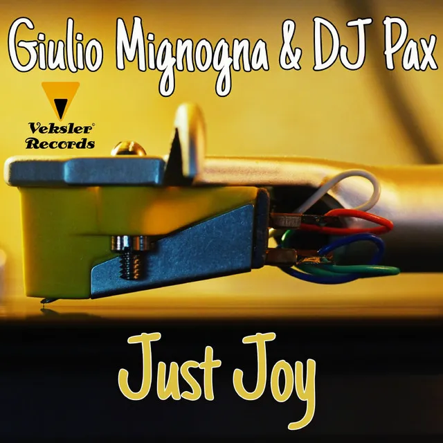 Just Joy - Instrumental Mix