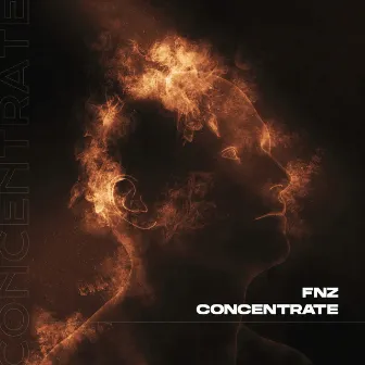 Concentrate by FNZ