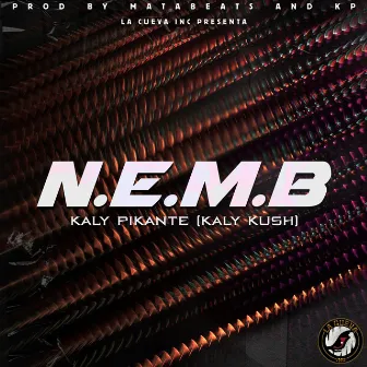 N.E.M.B by Kaly Pikante