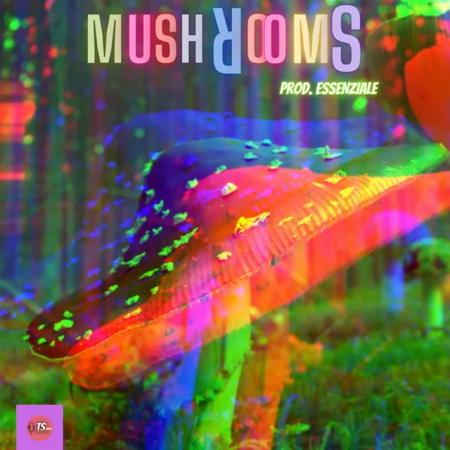 Mushrooms