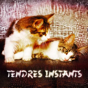 Zen & Relaxation: Tendres instants by Zen & Relaxation