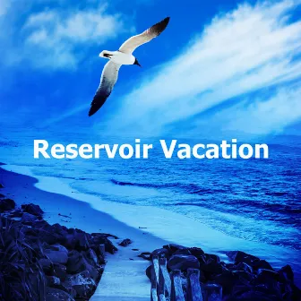 Reservoir Vacation by Ocean Vacation