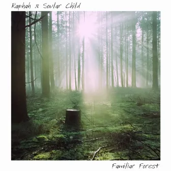 Familiar Forest by Soular Child