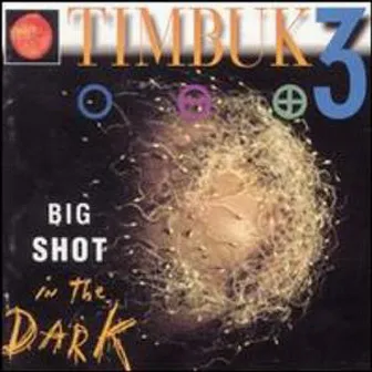 Big Shot In The Dark by Timbuk 3