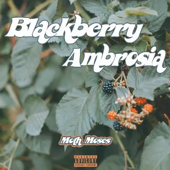 Blackberry Ambrosia by Moth Moses