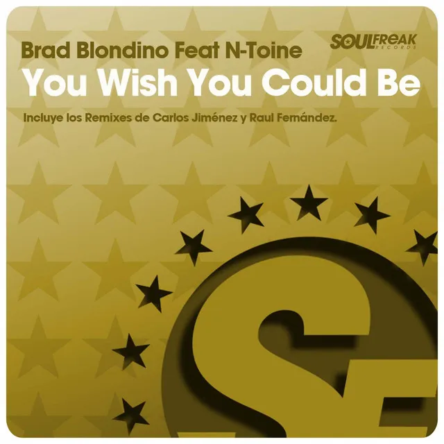 You Wish You Could Be - Raul Fernandez Remix