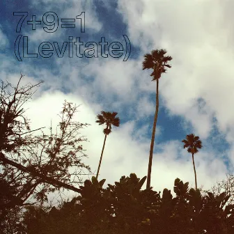 7+9=1 (Levitate) by Dimitri Howald